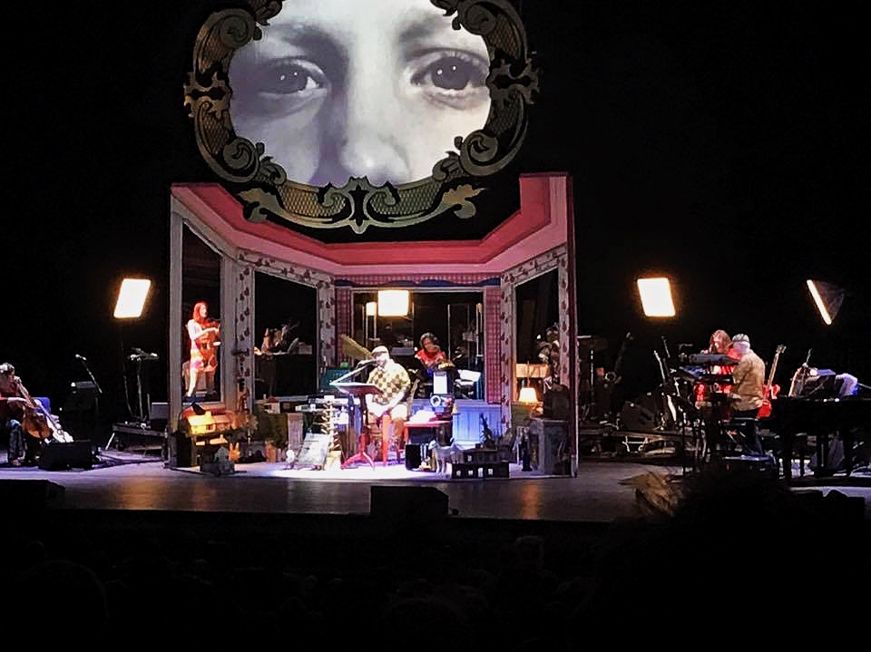 Magnetic Fields: 50 Song Memoir - image 1