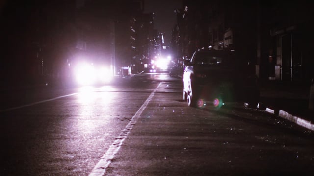 Magnetic Fields: 50 Song Memoir - image 10