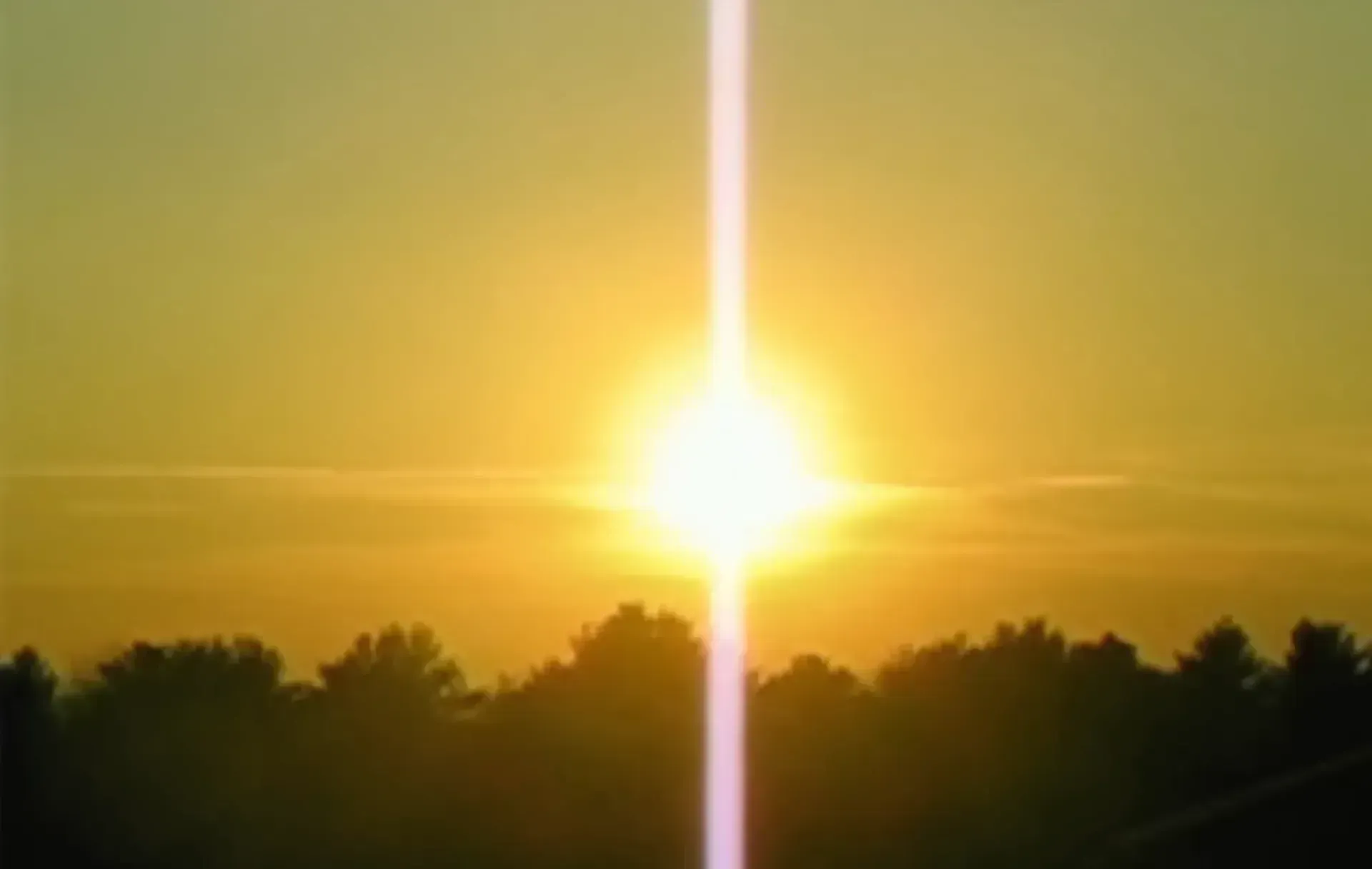 Magnetic Fields: 50 Song Memoir