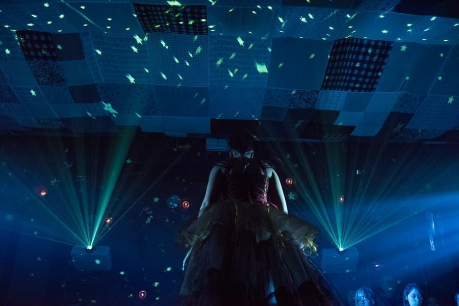 The Wildness - image 2